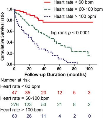 Prognostic Potential of Heart Rate and Hypertension in Multiple Myeloma Patients